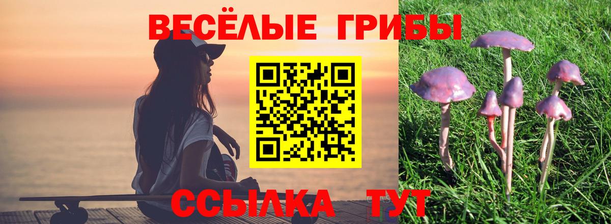 Галлюциногенные грибы Magic Shrooms Отрадное